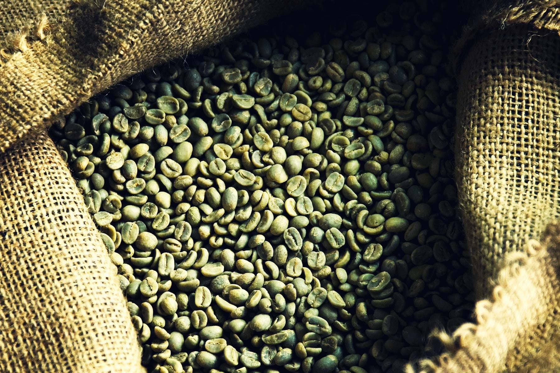 Ethiopian Coffee Farm