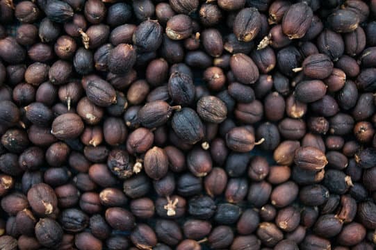 Coffee Background